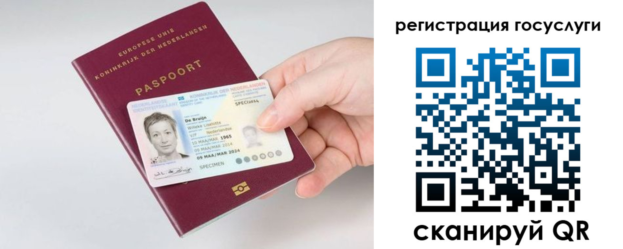 регистрация для дет. сада в Дрезне